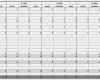 Jahresplanung Unternehmen Vorlage Großartig 5 Jahresplanung In Excel