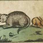 Jährliche Unterweisung Gabelstaplerfahrer Vorlage Neu Die Besten 25 Unterweisung Ideen Auf Pinterest