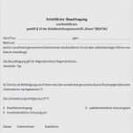 Jährliche Unterweisung Kranführer Vorlage Cool 29 Neu Unterweisung Kranführer Vorlage Galerie