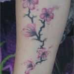 Japanische Kirschblüten Tattoo Vorlage Bewundernswert Allstyle Tattoo Berlin Friedrichshain Kirschblüten Im All