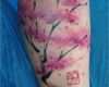 Japanische Kirschblüten Tattoo Vorlage Erstaunlich Die Besten 25 Kirschbaum Tattoos Ideen Auf Pinterest