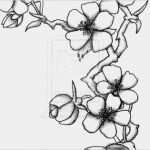 Japanische Kirschblüten Tattoo Vorlage Hübsch Cherry Blossom 2 by Alexdickoviantart On