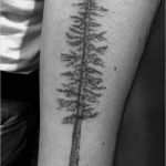 Japanische Kirschblüten Tattoo Vorlage Neu Baum Tattoo – Seine Bedeutung Und 40 tolle Design Ideen