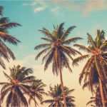 Jimdo Design Vorlagen Erstaunlich Jimdo Design Vorlagen – Various Vorlagen