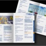 Jlu Gießen Powerpoint Vorlage Elegant Konzept Für Den Ects Katalog