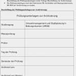 Jour Fix Protokoll Vorlage Word Inspiration Prüfungshandbuch Für Den Stu Ngang Umweltmanagement Und