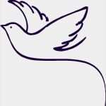 Jugendgottesdienst Vorlagen Katholisch Elegant Die Besten 17 Ideen Zu Taube Auf Pinterest