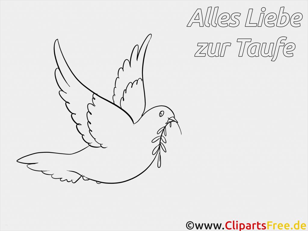 Jugendgottesdienst Vorlagen Katholisch Inspiration Taube Malvorlage Ausmalbild Zum Ausmalen