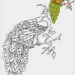 Jugendstil Muster Vorlagen Beste Tiere Vorlagen 1 Windows Color Pinterest