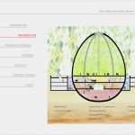 Kabel Bw Kündigen Vorlage Angenehm Webdesign Line Shops Suchmaschinenoptimierung