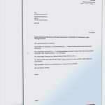 Kabel Deutschland Premium Hd Kündigen Vorlage Beste Kündigung Kabel Deutschland Vorlage Best Genial 32