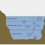 Kabel Deutschland Wegen Umzug Kündigen Vorlage Erstaunlich Da Stehende Gew01sser Wegen Der Besseren Wachstumsm02glich