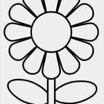 Kalibrieren Von Messschiebern Vorlage Erstaunlich Över 1000 Idéer Om Malvorlagen Blumen På Pinterest