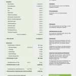 Kalkulation Vorlage Hübsch Numbers Vorlage Stundensatzkalkulation