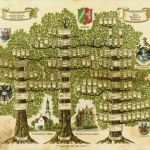 Kalkulationsnachweis Für Nachträge Vorlage Schön Stammbaum Erstellen Lassen Ahnenforschung Pro Heraldica