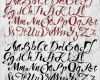 Kalligraphie Alphabet Vorlagen Kostenlos Schön 100 Rot Schwarz Kalligraphie Alphabet Buchstaben Gemalt