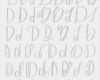 Kalligraphie Schrift Vorlagen Elegant 50 Ways to Letter D Lettering