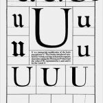Kalligraphie Schrift Vorlagen Neu Letter U Fonts Ursprünge Vorlagen