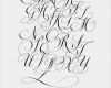 Kalligraphie Vorlagen Zum Ausdrucken Wunderbar 1000 Ideas About Tattoo Lettering Alphabet On Pinterest