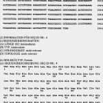 Kapazitätsplanung Mitarbeiter Excel Vorlage Bewundernswert Kapazitätsplanung Excel Vorlage