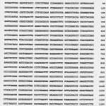 Kapazitätsplanung Mitarbeiter Excel Vorlage Erstaunlich Kapazitätsplanung Excel Vorlage