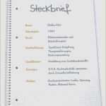 Kapitalbedarfsplan Vorlage Bewundernswert 17 Steckbrief Erzieherin Praktikantin