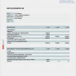 Kapitalbedarfsplan Vorlage Cool Businessplan Mobiler Pflege Nst