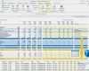 Kapitalbedarfsplan Vorlage Excel Erstaunlich Flex Reporting Release 4 1