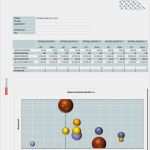 Kapitalbedarfsplan Vorlage Fabelhaft Portfolio Analyse Für Existenzgründer Muster Vorlage Zum