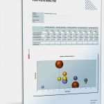 Kapitalbedarfsplan Vorlage Genial Portfolio Analyse Existenzgründer