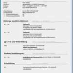 Karrierebibel Lebenslauf Vorlage Erstaunlich Lebenslauf Auf Englisch Tipps Für Resume Und Cv