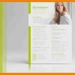 Karrierebibel Lebenslauf Vorlage Süß 15 Karrierebibel Lebenslauf