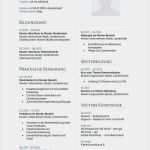 Karrierebibel Vorlagen Lebenslauf Erstaunlich 9 Undergraduate Karrierebibel Lebenslauf Vorlagen format