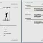 Karrierebibel Vorlagen Lebenslauf Genial Karrierebibel Lebenslauf Vorlage Angenehm Ungewöhnlich