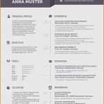 Karrierebibel Vorlagen Lebenslauf Neu Lebenslauf Auf Englisch Tipps Für Resume Und Cv