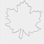 Kassenbericht 305 Vorlage Großartig Beste Blatt Vorlage Pdf Ideen Dokumentationsvorlage