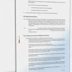 Kassenbericht Gemeinnütziger Verein Vorlage Erstaunlich Detaillierte Satzung Gemeinnütziger Verein Muster En