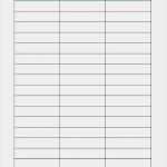 Kassenbericht Vorlage Verein Bewundernswert Spendenbrief Muster Verein Schön isar Kurier Kw 10 2017 by