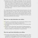 Kassenbericht Vorlage Verein Erstaunlich 17 Kassenbericht Verein Muster