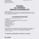 Kassenbericht Vorlage Verein Gut Muster Kassenbericht Verein