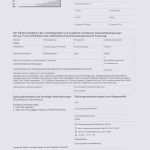 Kassenbericht Vorlage Verein Schönste Muster Kassenbericht Verein