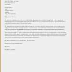 Kassenbericht Vorlage Verein Süß Testament Muster Kostenlos Ausdrucken Inspirierend Besten