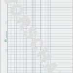 Kassenblatt Vorlage Datev Erstaunlich Kassenbuch 426