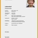 Kassenbuch 426 Vorlage Genial 8 Lebenslauf Word