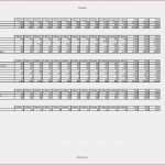 Kassenbuch Vorlage Openoffice Hübsch Excel Kassenbuch Vorlage Kostenlos