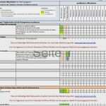 Kassenjournal Vorlage Gut tolle Kontrollplan Vorlage Zeitgenössisch Beispiel