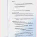 Kassenprüfung Verein Vorlage Erstaunlich Verein Kassenprufung Vorlage