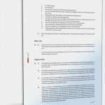 Kassenprüfung Verein Vorlage Fabelhaft Statut Des Vereins Muster Vorlage Zum Download