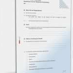 Kassenprüfung Verein Vorlage Schönste Statut Des Vereins Muster Vorlage Zum Download