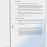 Kassenprüfung Verein Vorlage Wunderbar Statut Des Vereins Muster Vorlage Zum Download